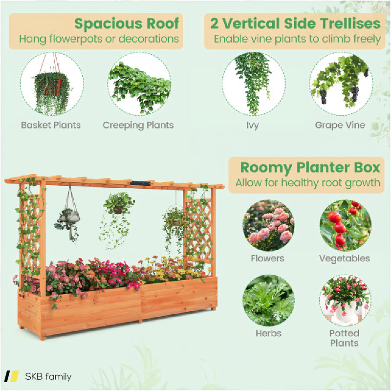 Raised Garden Bed With Side Trellis Hanging Roof And Planter Box 240615-229327