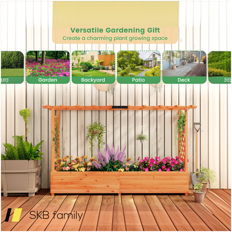 Raised Garden Bed With Side Trellis Hanging Roof And Planter Box 240615-229327