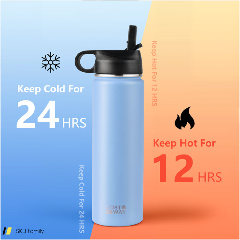 22 Oz Double-Walled Insulated Stainless Steel Water Bottle With Straw Lid 240615-229358