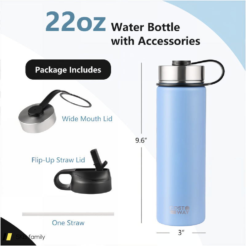 22 Oz Double-Walled Insulated Stainless Steel Water Bottle With Straw Lid 240615-229358