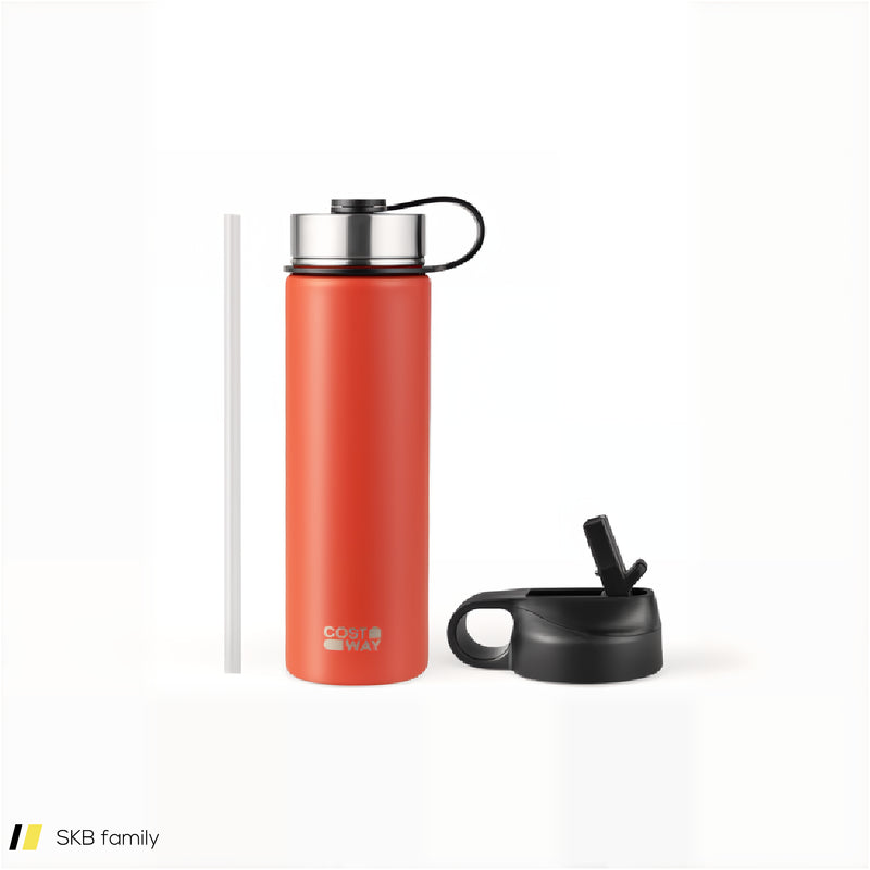 22 Oz Double-Walled Insulated Stainless Steel Water Bottle With Straw Lid 240615-229358