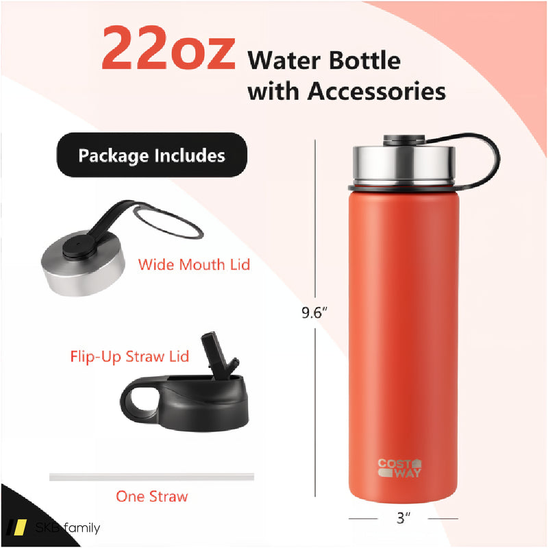 22 Oz Double-Walled Insulated Stainless Steel Water Bottle With Straw Lid 240615-229358