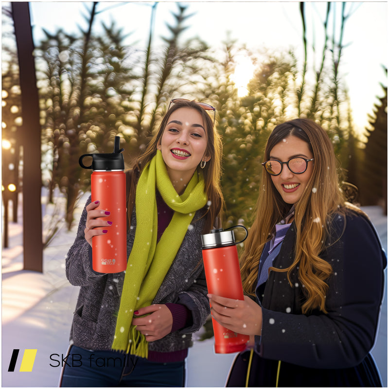 22 Oz Double-Walled Insulated Stainless Steel Water Bottle With Straw Lid 240615-229358