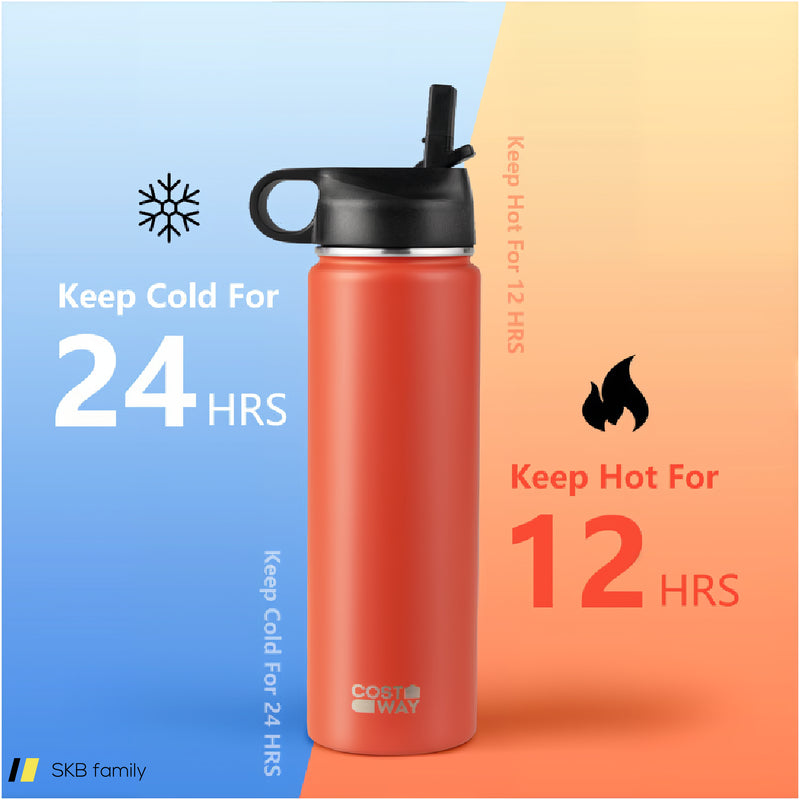 22 Oz Double-Walled Insulated Stainless Steel Water Bottle With Straw Lid 240615-229358