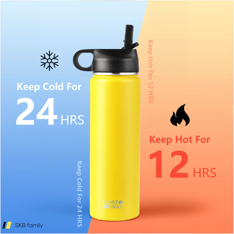 22 Oz Double-Walled Insulated Stainless Steel Water Bottle With Straw Lid 240615-229358