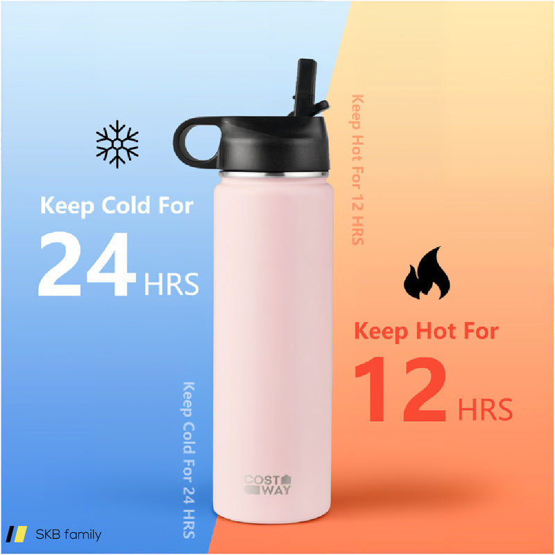 22 Oz Double-Walled Insulated Stainless Steel Water Bottle With Straw Lid 240615-229358