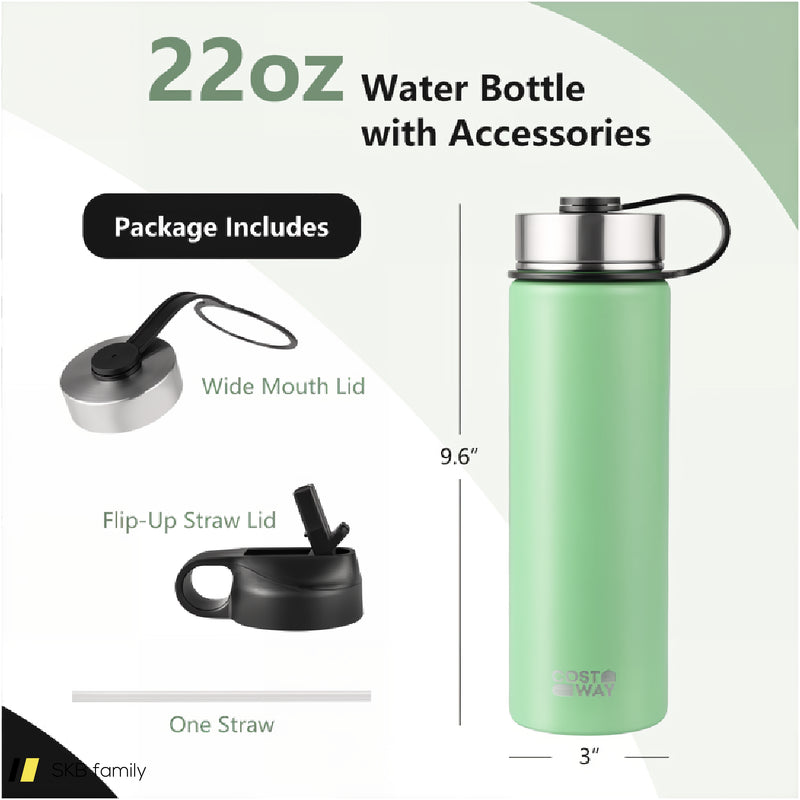 22 Oz Double-Walled Insulated Stainless Steel Water Bottle With Straw Lid 240615-229358