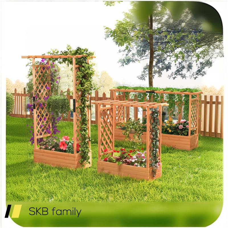 Raised Garden Bed With Arch Trellis 240615-229382