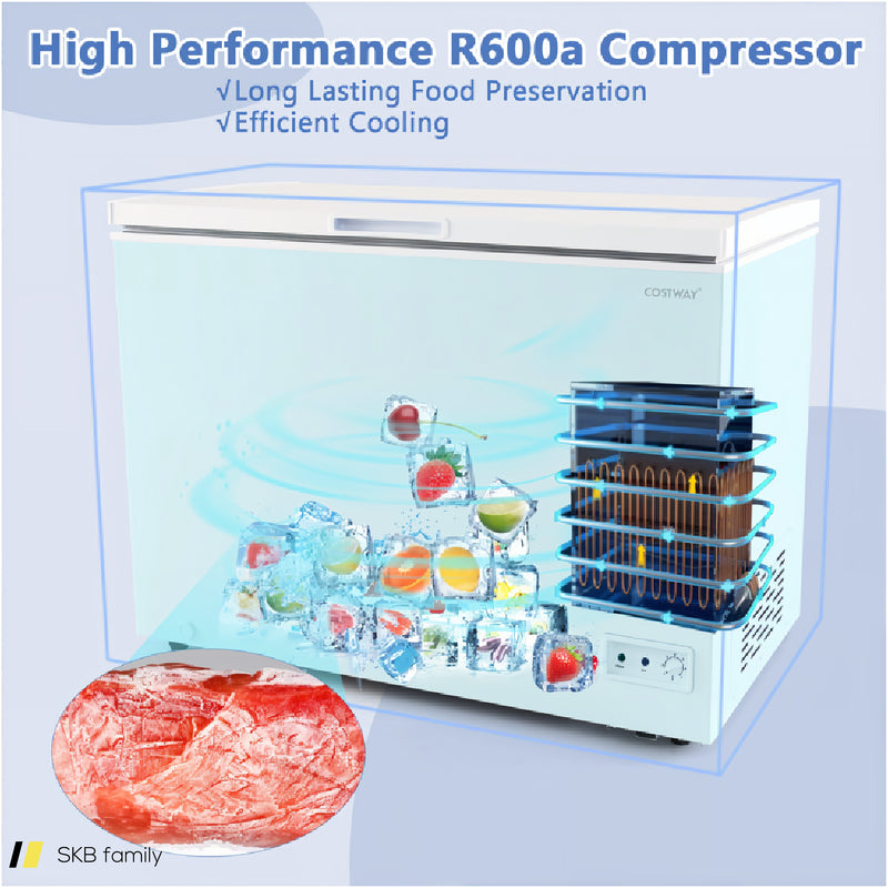 Compact Deep Freezer With 7-Level Adjustable Temperature And Removable Basket 240615-230185