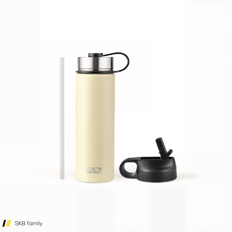 22 Oz Double-Walled Insulated Stainless Steel Water Bottle With 2 Lids And Straw-Beige 240615-232854