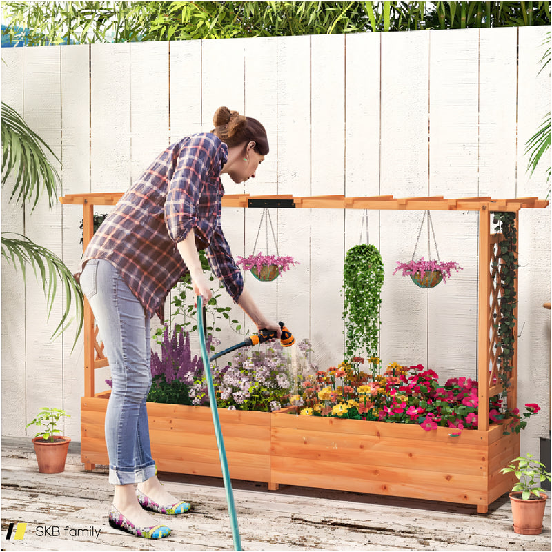 Raised Garden Bed With Side Trellis Hanging Roof And Planter Box 240615-229327