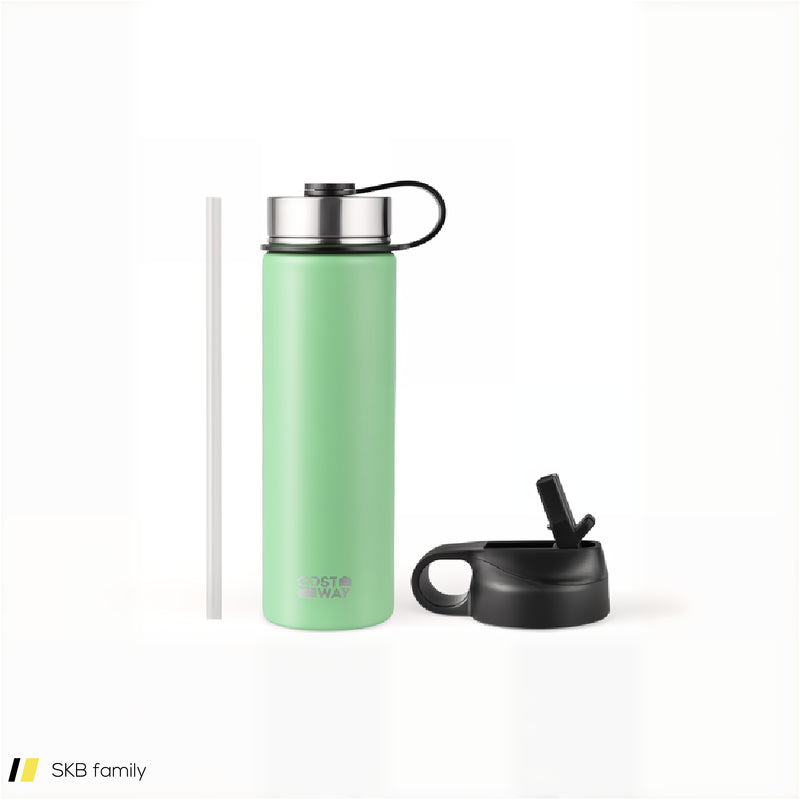 22 Oz Double-Walled Insulated Stainless Steel Water Bottle With Straw Lid 240615-229358