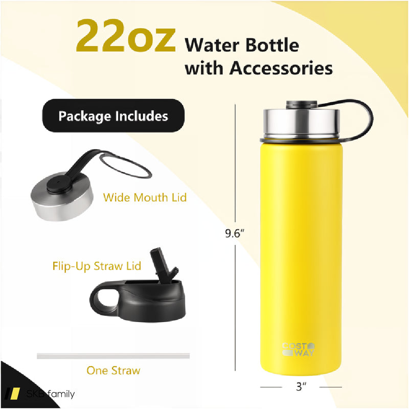 22 Oz Double-Walled Insulated Stainless Steel Water Bottle With Straw Lid 240615-229358