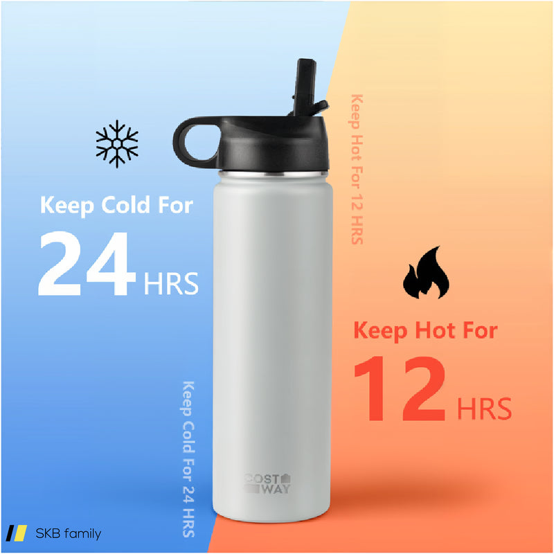 22 Oz Double-Walled Insulated Stainless Steel Water Bottle With Straw Lid 240615-229358