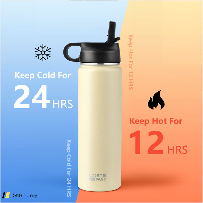 22 Oz Double-Walled Insulated Stainless Steel Water Bottle With Straw Lid 240615-229358