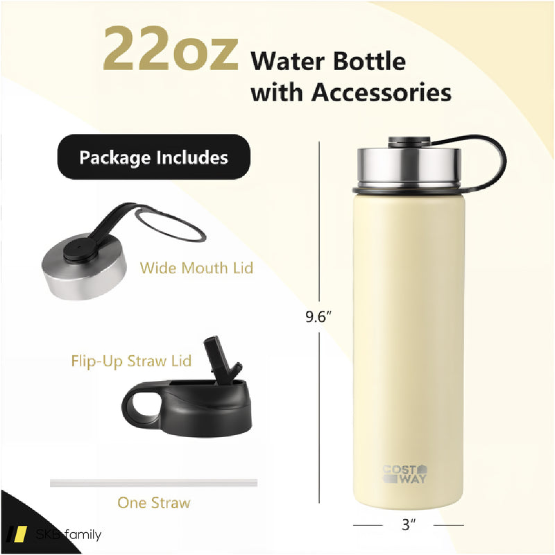 22 Oz Double-Walled Insulated Stainless Steel Water Bottle With 2 Lids And Straw-Beige 240615-232854